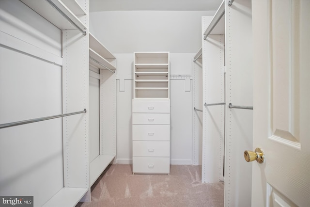 spacious closet featuring carpet
