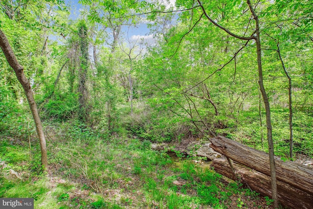 view of landscape featuring a forest view