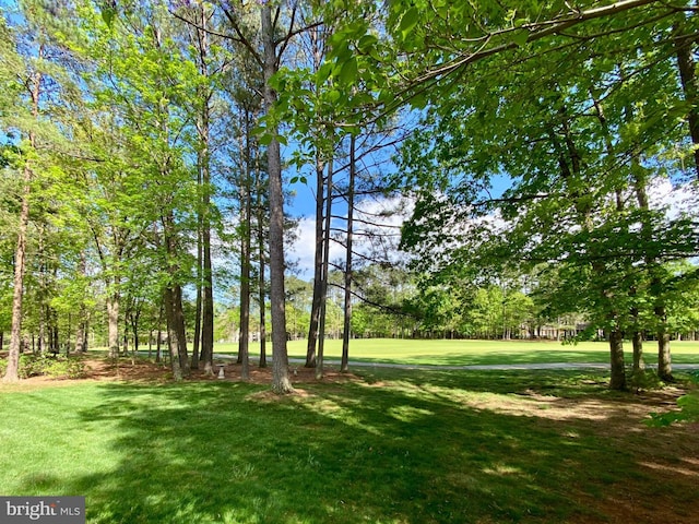 view of property's community with a lawn