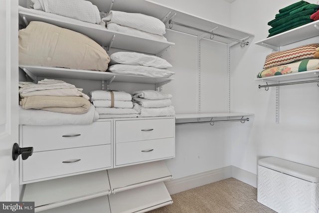 360 Fishing Creek Valley Rd, Harrisburg, PA 17112 - walk in closet featuring light colored carpet