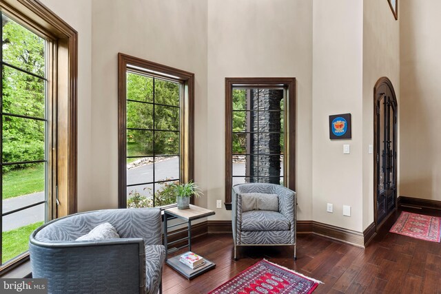 360 Fishing Creek Valley Rd, Harrisburg, PA 17112 - living area featuring dark wood-type flooring, baseboards, healthy amount of natural light, and a towering ceiling
