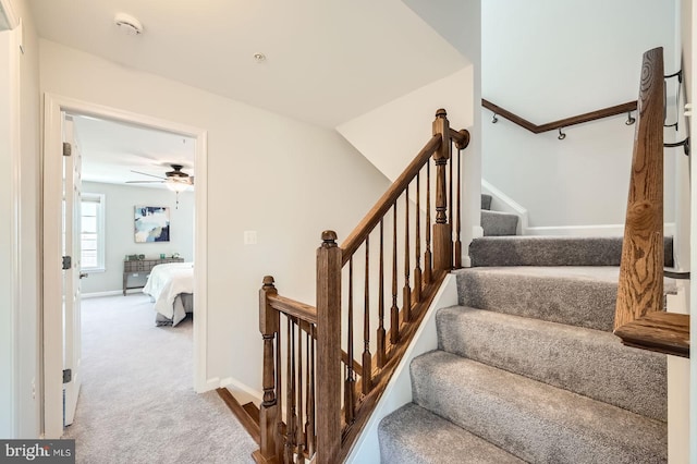 1308 Lowman St, Baltimore, MD 21230 - staircase with carpet, a ceiling fan, and baseboards