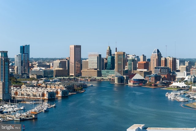1308 Lowman St, Baltimore, MD 21230 - city view featuring a marina and a large body of water