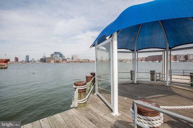 1308 Lowman St, Baltimore, MD 21230 - dock featuring a water view and a view of skyline