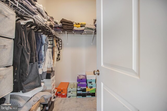5510 Woodyard Rd, Upper Marlboro, MD 20772 - walk in closet with carpet floors