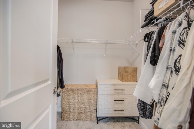 5510 Woodyard Rd, Upper Marlboro, MD 20772 - view of spacious closet