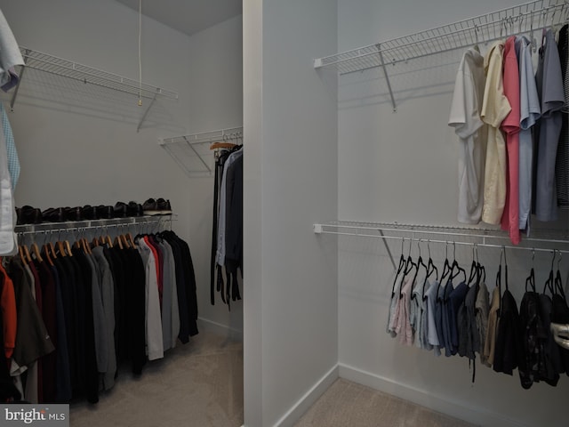 walk in closet with carpet floors