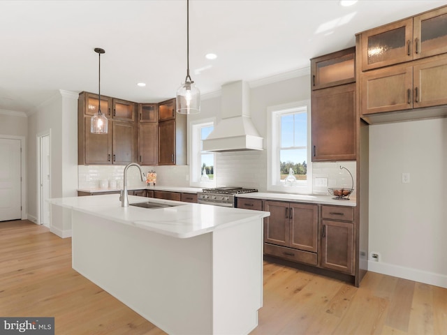 149 Matthew Dr, Chambersburg, PA 17201 - kitchen with a sink, decorative backsplash, ornamental molding, and custom range hood