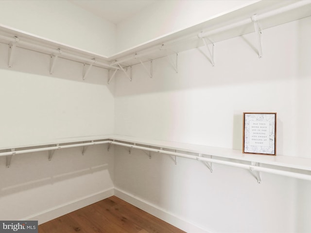 149 Matthew Dr, Chambersburg, PA 17201 - walk in closet featuring wood finished floors