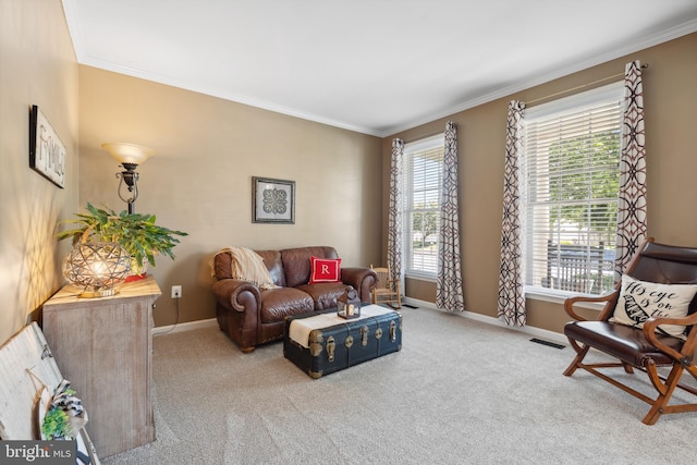 16 Zachary Ct, Boonsboro, MD 21713 - living room with crown molding, carpet flooring, and baseboards