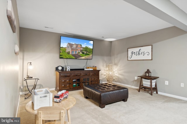 16 Zachary Ct, Boonsboro, MD 21713 - living area featuring carpet and baseboards