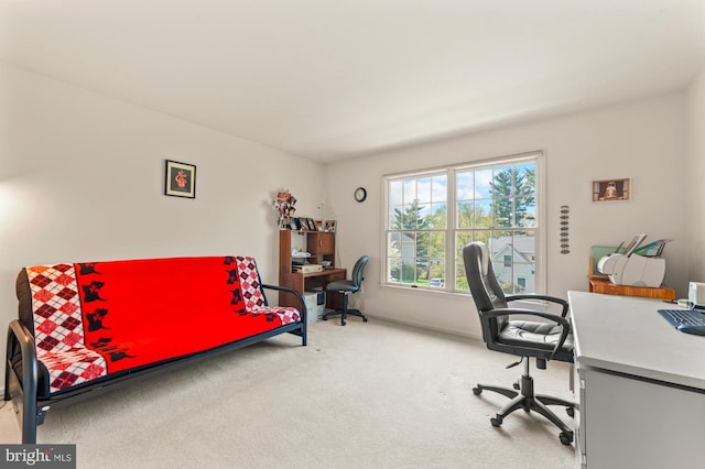 25 Stallion Cir, Upper Holland, PA 19053 - office area with carpet