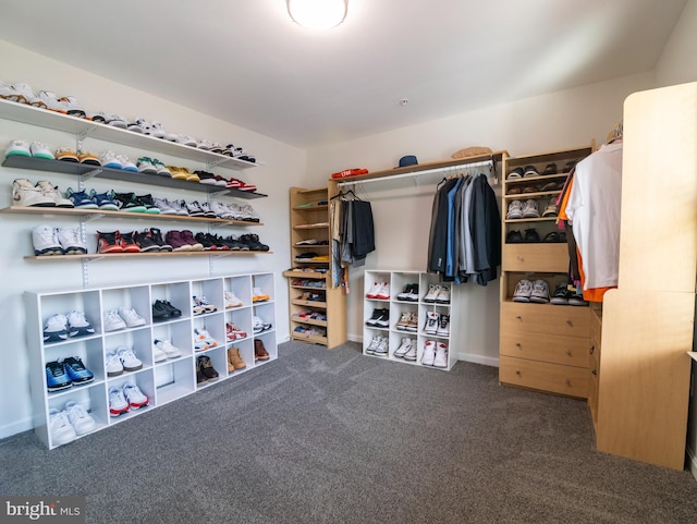 9318 Sydney Way, Laurel, MD 20723 - walk in closet with carpet flooring