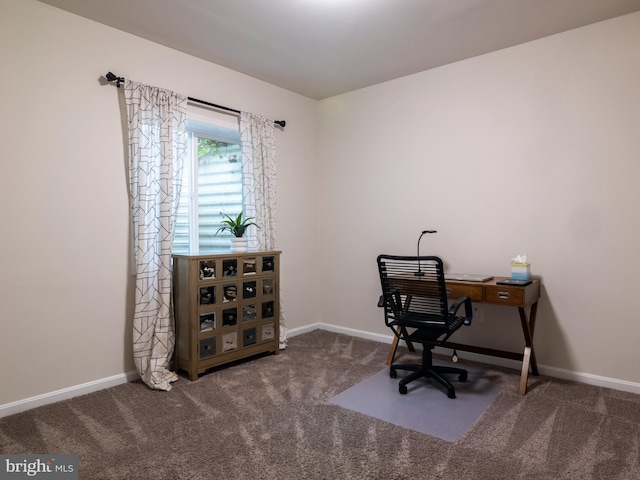 9318 Sydney Way, Laurel, MD 20723 - office space featuring carpet floors and baseboards