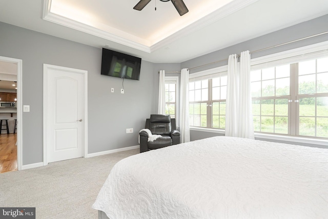189 Potomac Crossing St, Charles Town, WV 25414 - bedroom with a tray ceiling, carpet, multiple windows, baseboards, and crown molding