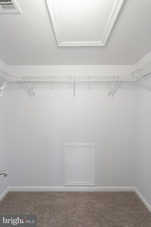 189 Potomac Crossing St, Charles Town, WV 25414 - walk in closet featuring carpet