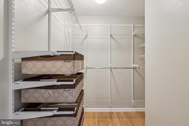 24 Monument Dr, Stafford, VA 22554 - spacious closet featuring wood finished floors