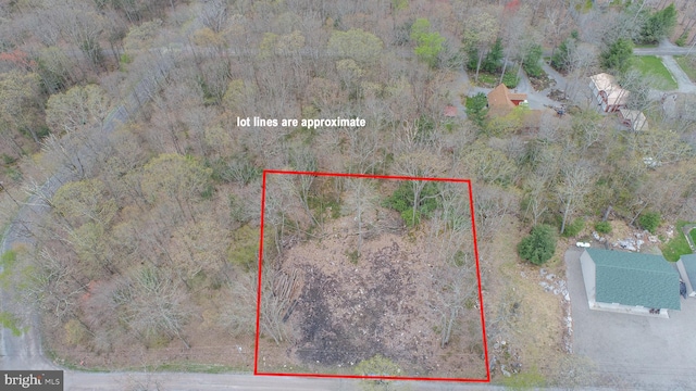 LOT2 Cedar Ln, Oakland, MD 21550