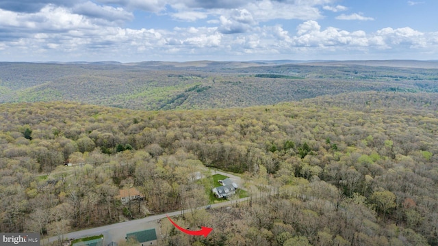 LOT2 Cedar Ln, Oakland, MD 21550
