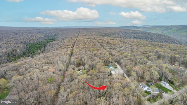 LOT2 Cedar Ln, Oakland, MD 21550