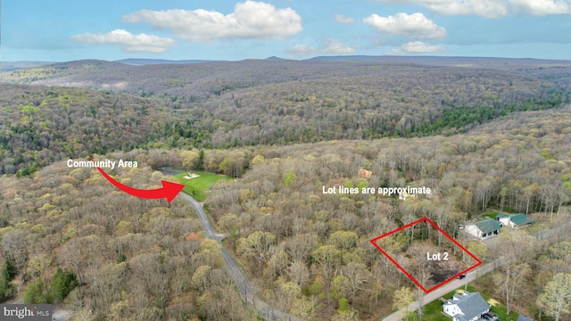 LOT2 Cedar Ln, Oakland, MD 21550