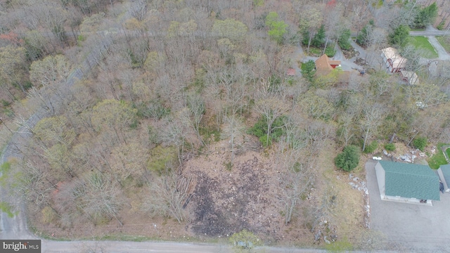 LOT2 Cedar Ln, Oakland, MD 21550