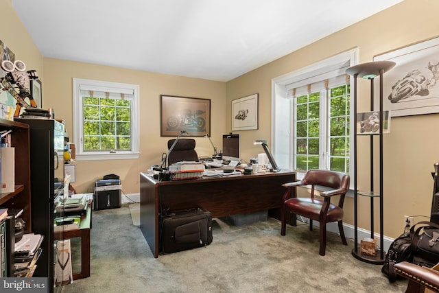 3 Hickory Ln, Chadds Ford, PA 19317 - home office featuring carpet floors and baseboards