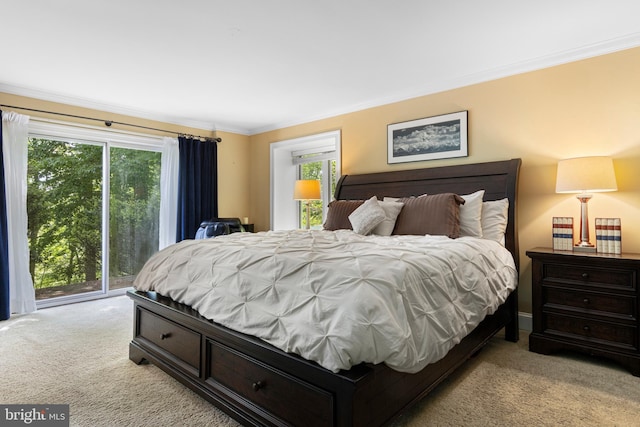 3 Hickory Ln, Chadds Ford, PA 19317 - carpeted bedroom featuring multiple windows, crown molding, and access to outside