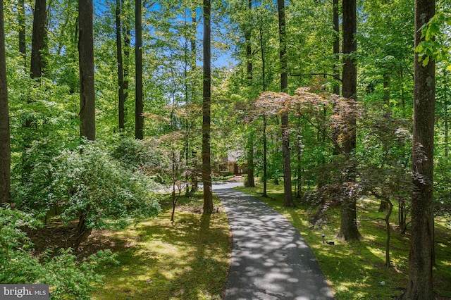 3 Hickory Ln, Chadds Ford, PA 19317 - view of surrounding community