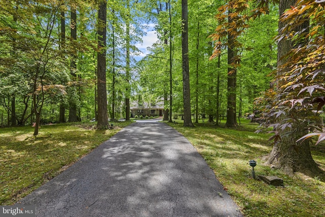 3 Hickory Ln, Chadds Ford, PA 19317 - view of asphalt driveway