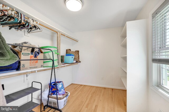 2314 Apple Hill Rd, Alexandria, VA 22308 - view of storage
