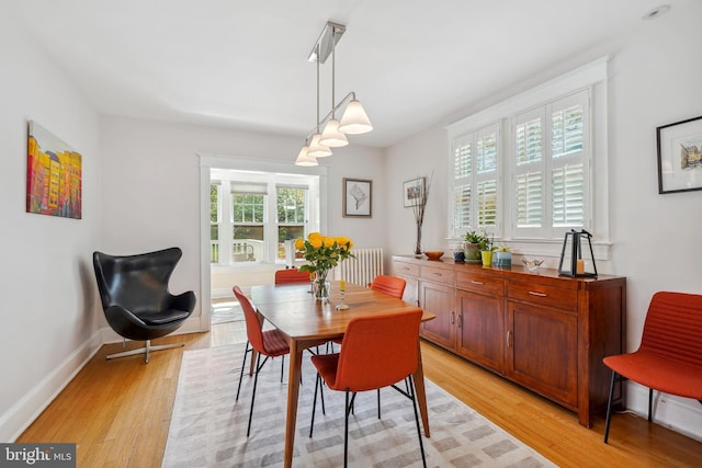 dining room featuring light wood-type flooring, radiator, and baseboards