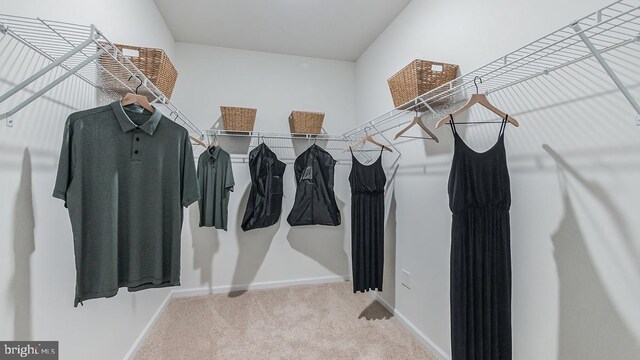 79 Chokeberry Way, Gettysburg, PA 17325 - spacious closet with carpet floors