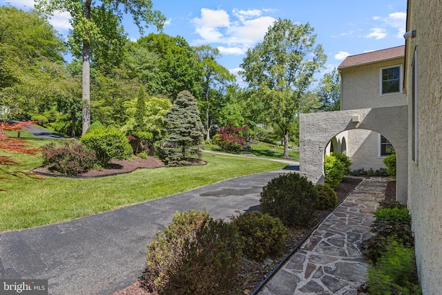 view of home's community with a yard