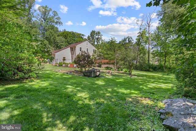 view of grassy yard