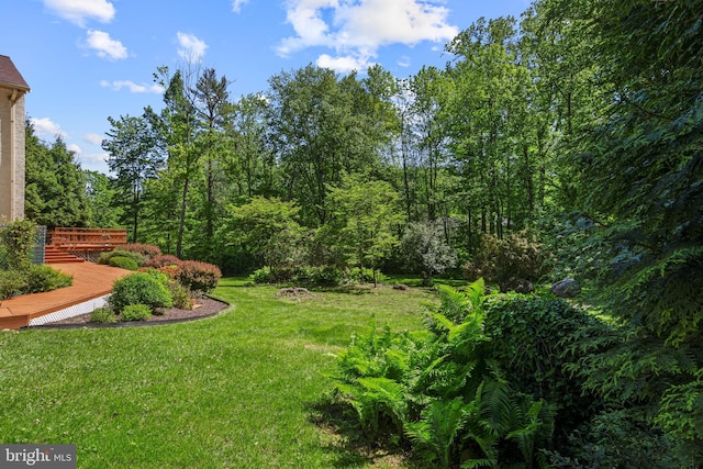view of grassy yard