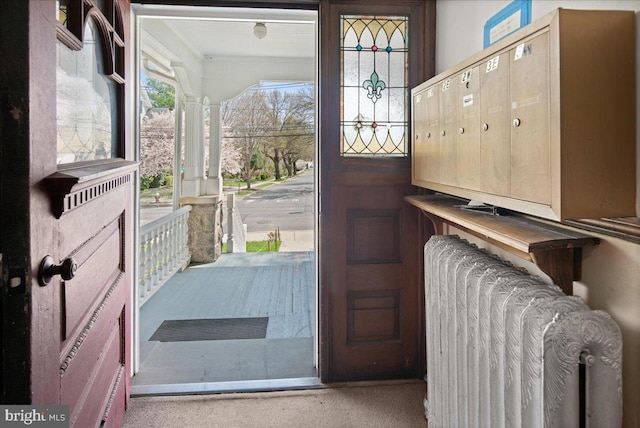 foyer featuring radiator heating unit and carpet flooring