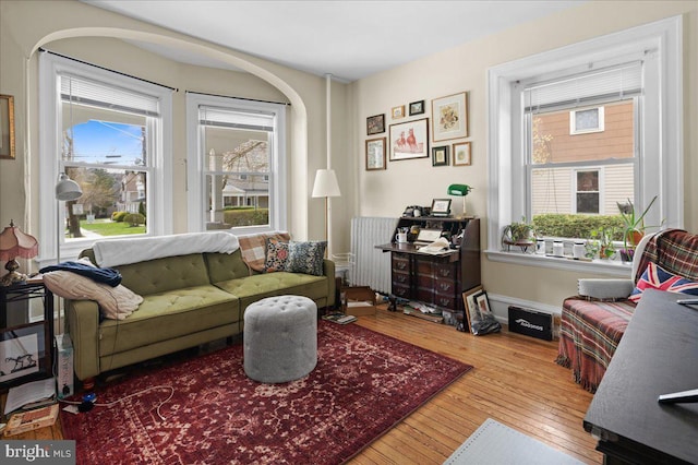 living area featuring radiator and wood-type flooring