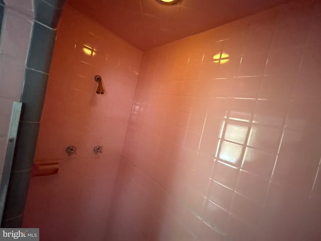 room details featuring a tile shower