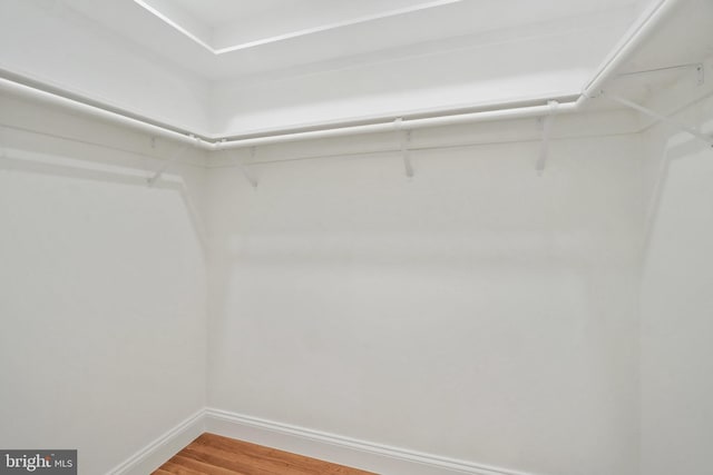 walk in closet with light wood-style flooring