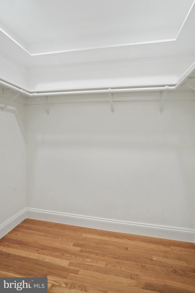 spacious closet featuring light wood-style floors
