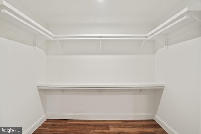 walk in closet featuring dark wood-style flooring
