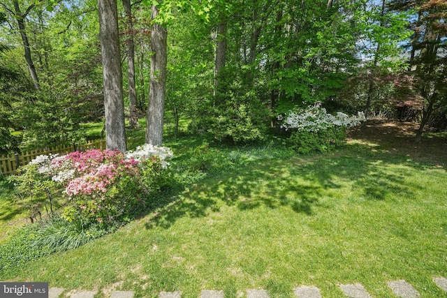 view of yard
