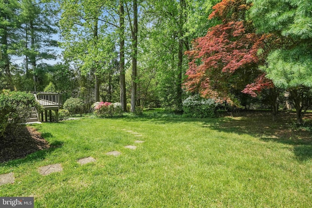 view of yard