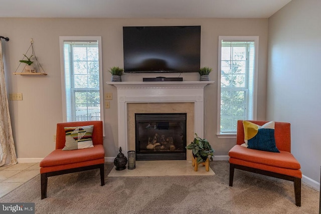living area featuring baseboards, a wealth of natural light, and a premium fireplace