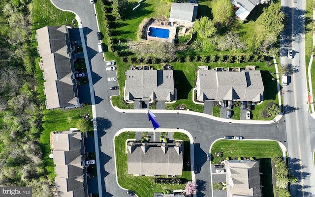 bird's eye view