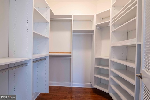 spacious closet with dark wood-style flooring