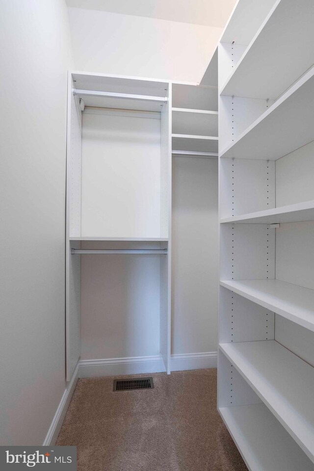 spacious closet with visible vents and carpet floors