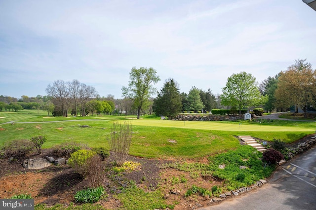 view of home's community with a yard