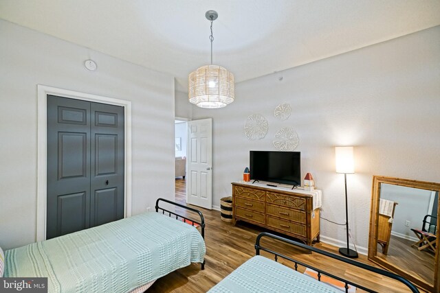 33192 N Village Loop Unit 5204, Lewes, DE 19958 - bedroom with wood finished floors and baseboards